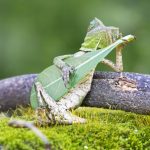 meditatiebibliotheem - rust en ontspanning