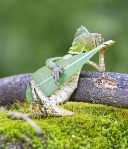meditatiebibliotheem - rust en ontspanning