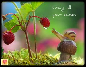 Awakening of the Senses